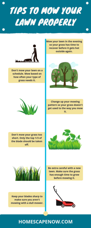 How to Mow Your Lawn