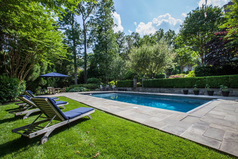 Growing Plants Around Pools | Arborist Now - Arborist Now